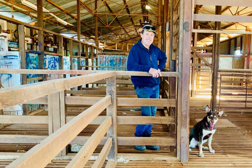 A man stands in a shearing shed with his dog