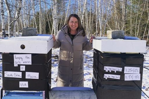 A women smiles standing between tow insulated bee boxes with snow behind her.