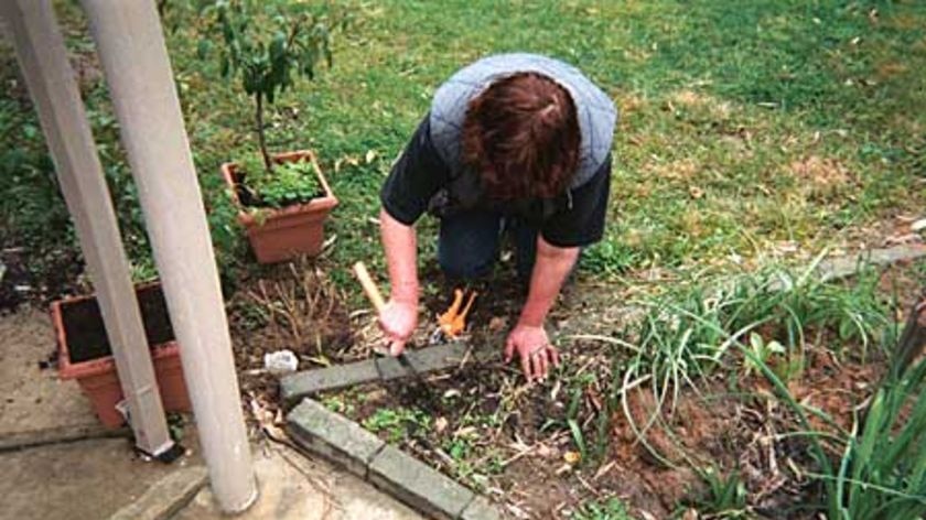 Backyard gardening