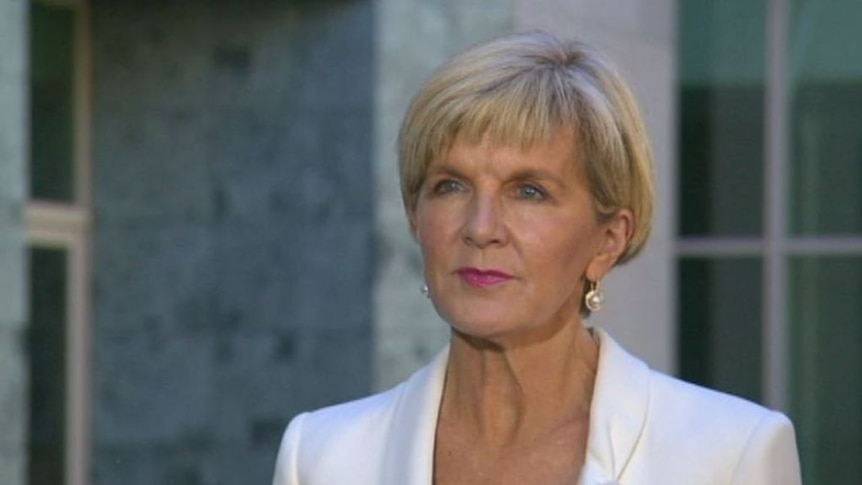 The Foreign Minister says she holds Russia legally responsible for the downing of MH17.