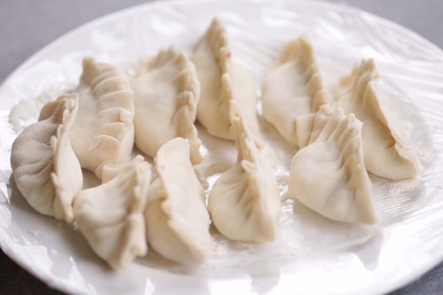 Ten uncooked dumplings on a white plate