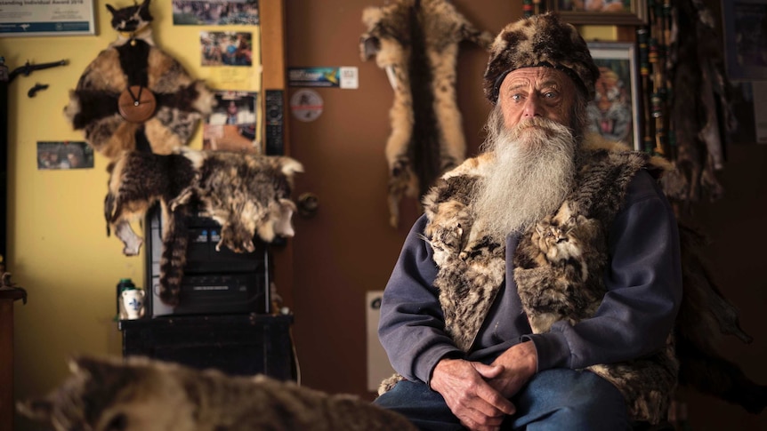 A man with a big grey beard sits in a room surrounded by feral cat skins looking blankly at the camera