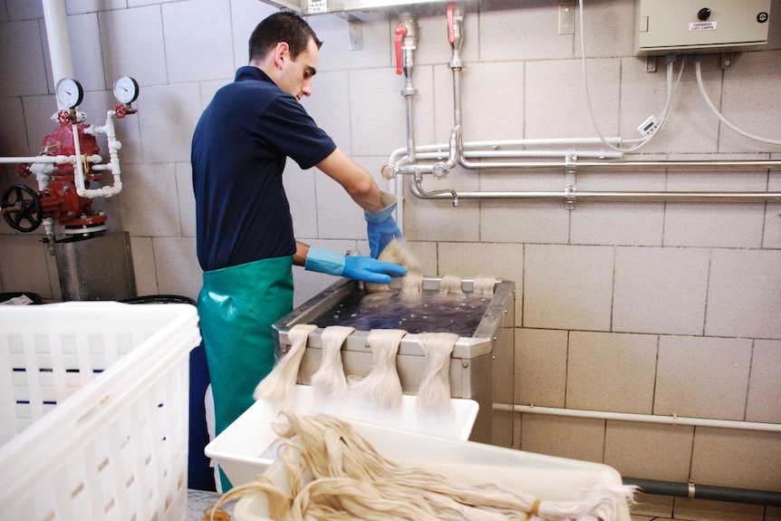 Worker soaks bundles of hair of dye