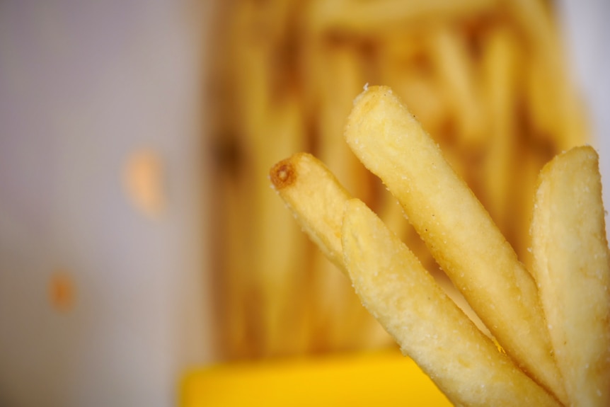 Photo of hot chips from fast food outlet Chicken Treat