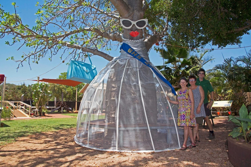 A boab tree dressed as a lady in the grounds of the Broome museum