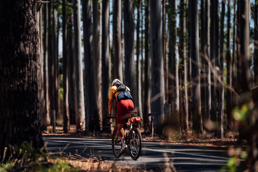 A behind photo of a man standing up and pushing on the pedals of a mountain bike with trees in the background