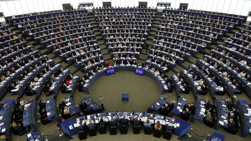 Members of the European Parliament take part in a voting session.