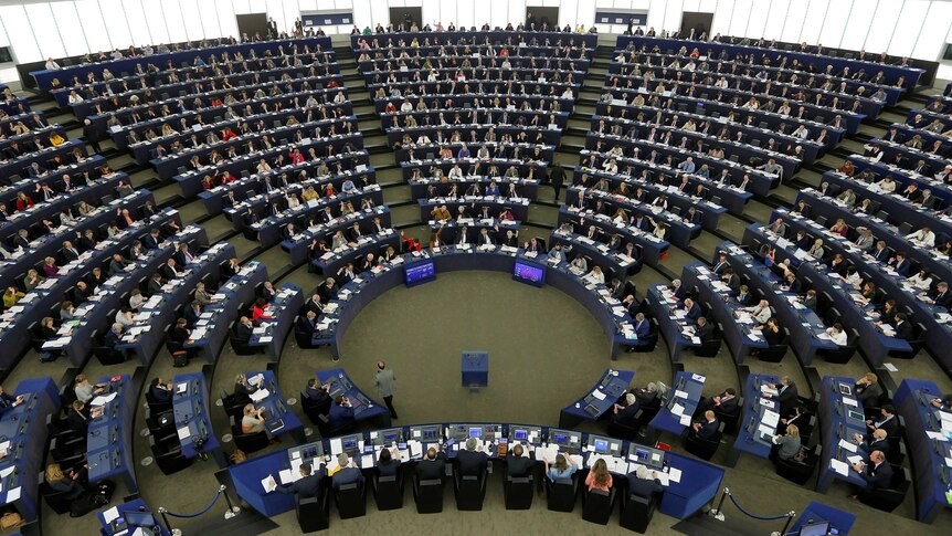 Members of the European Parliament take part in a voting session.