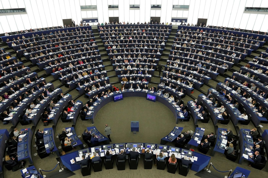 Members of the European Parliament take part in a voting session.