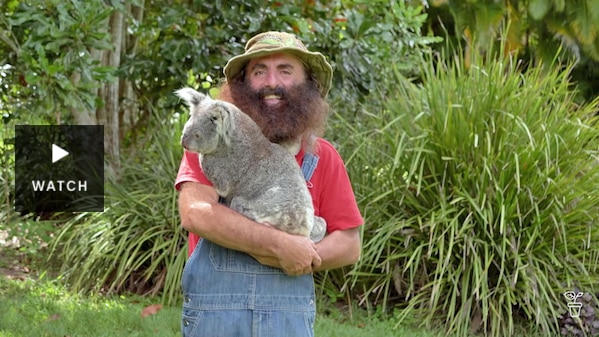 Costa holding a koala at Australia Zoo. Has Video.
