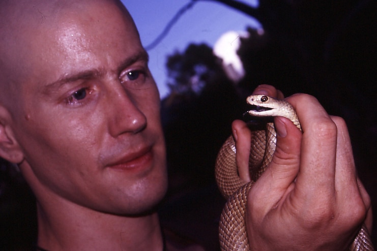 Man holds eastern brown snake.