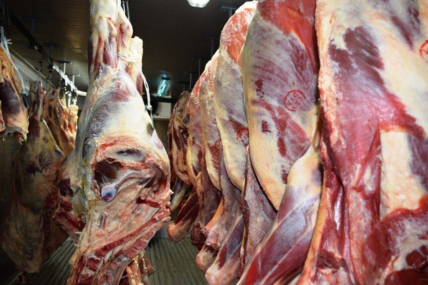 Beef in the process of being dry aged at Wuk Wuk Beef at Lindenow, in East Gippsland.