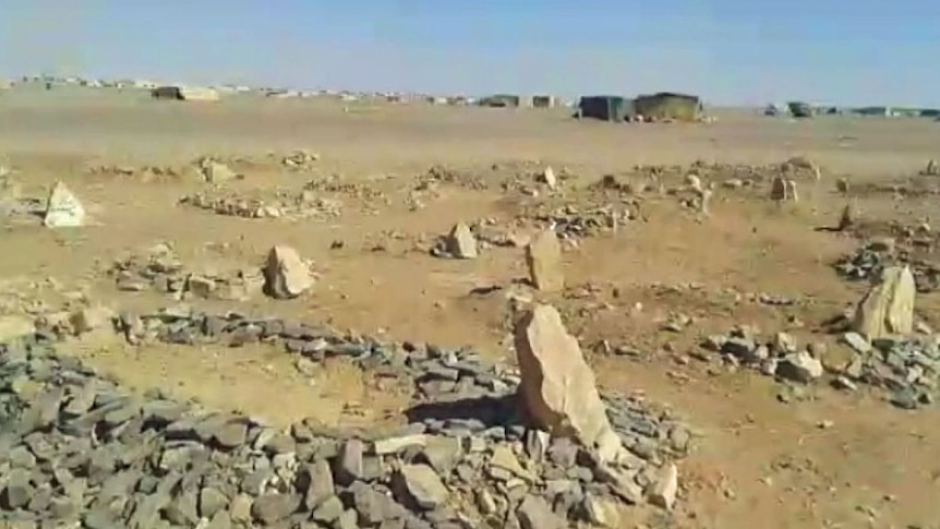 Footage of graves in Rubkan Camp in The Berm