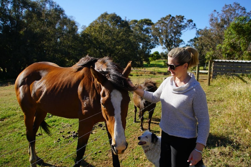 A woman wearing sunglasses and a sweater feeds a horse
