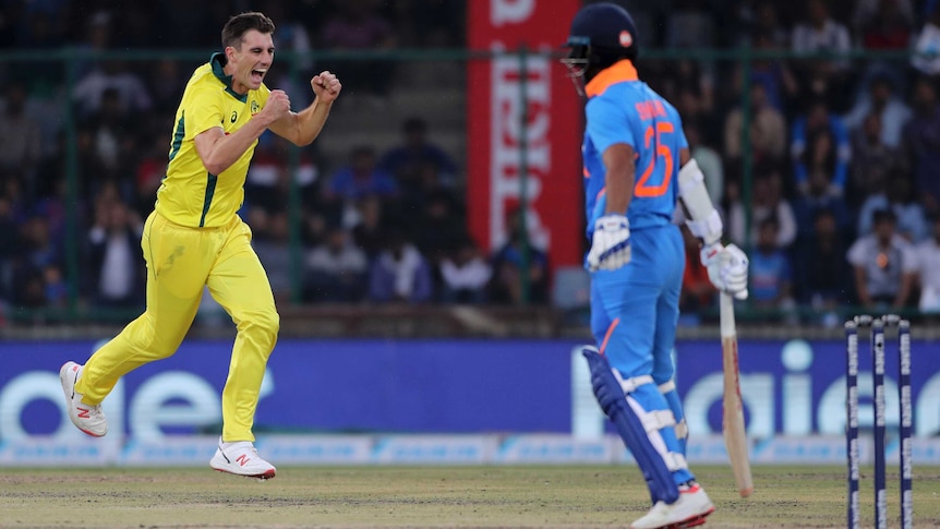 A bowler pumps his fists in triumph during a one-day international cricket match.