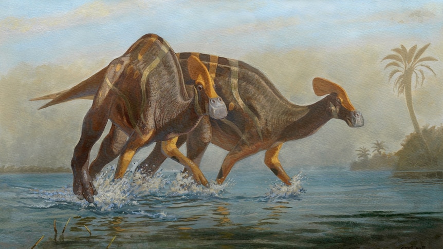Illustration of a new species of dinosaur with four legs walking through shallow water.