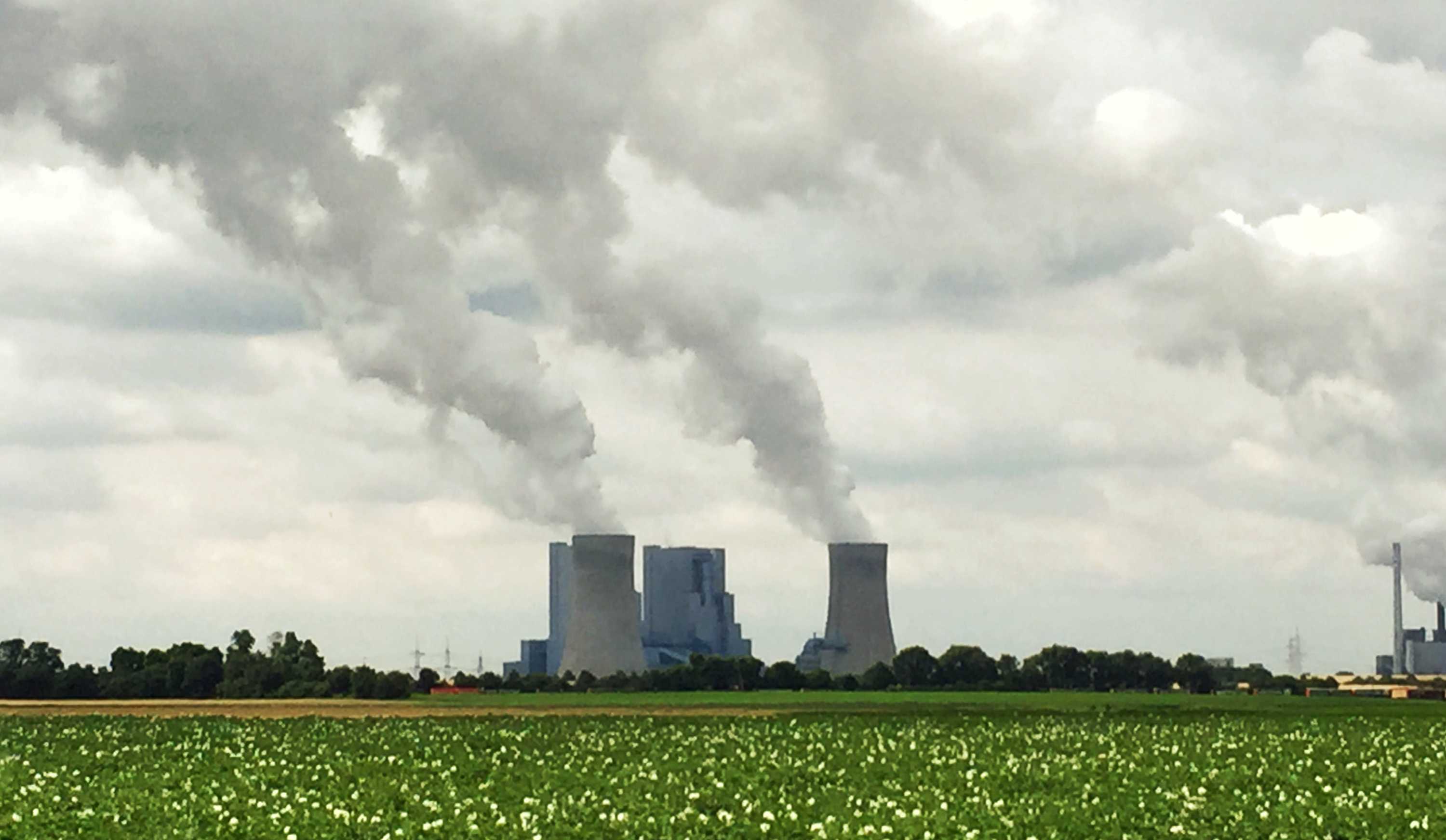 Sustainability: Made in Germany, debated in perpetuity - ABC News