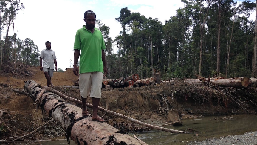 Local landowners inspect the damage from logging