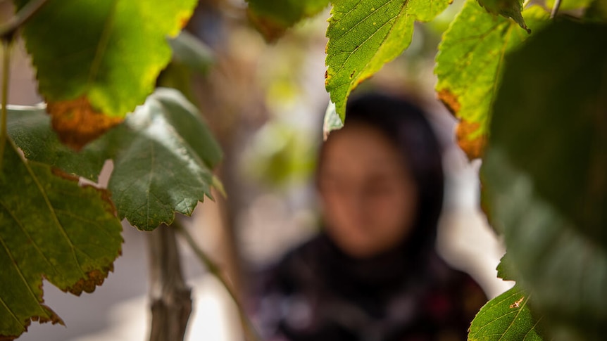 A photo of a girl wearing a hijab with a blurred face standing by trees.