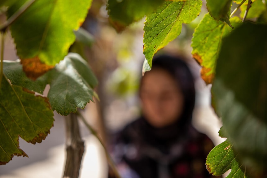 A photo of a girl wearing a hijab with a blurred face standing by trees.