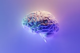 A graphic illustration of a brain floating in mid air, surrounded by vibrant hues of blue and purple.