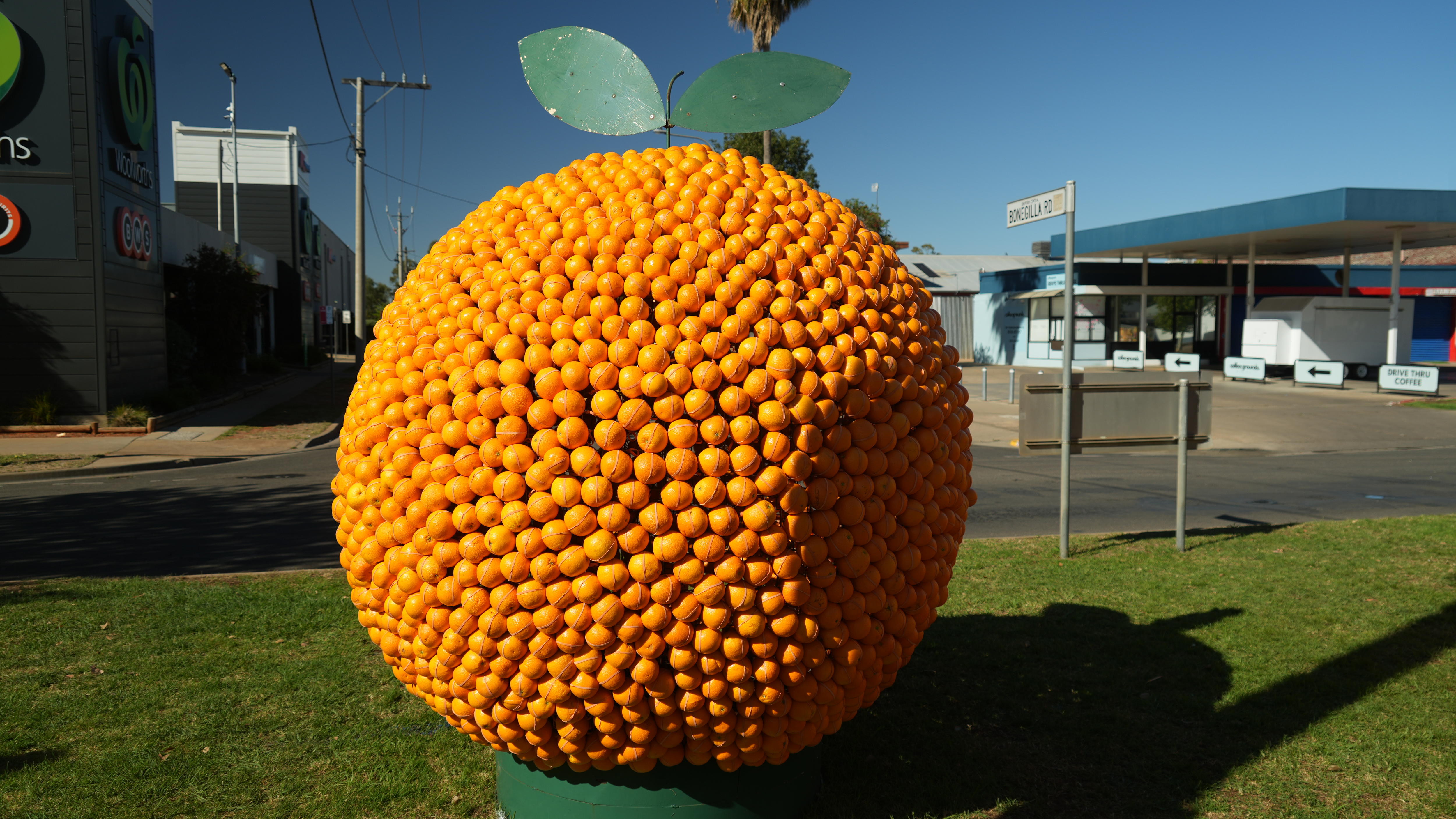 Sculptors see the fruit of their labour as oranges become art