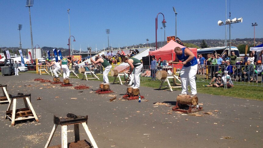 The woodchopping competitions are a staple of the Royal Launceston Show.