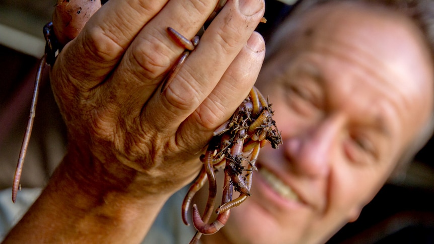 George Mingin holds a handful of earthworms close to the camera.