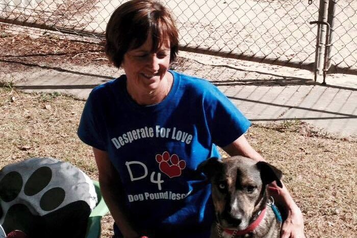 Barko's Boarding Kennel owner Sue Lopicich kneeling with her arm around a brown dog.