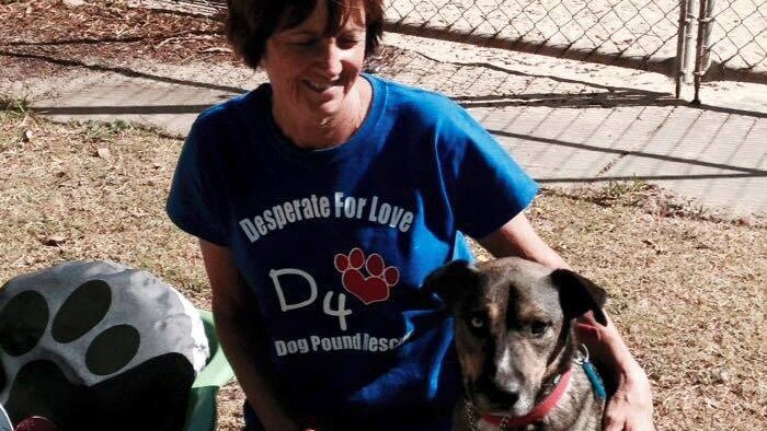 Barko's Boarding Kennel owner Sue Lopicich kneeling with her arm around a brown dog.