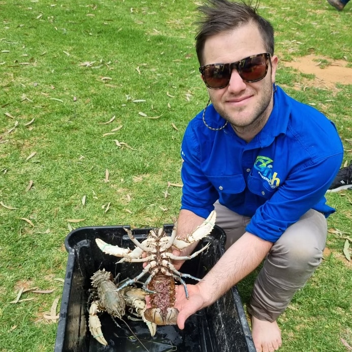 A man wearing sunglasses kneeling down on grass holding a Murray crayfish above a container.
