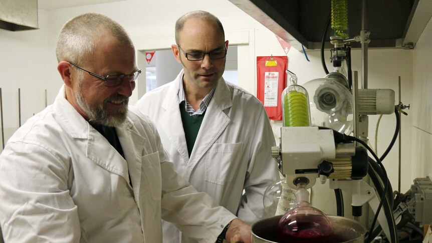 University of Tasmania researchers Matthew Gregory and Dugald Close extract beetroot colour.