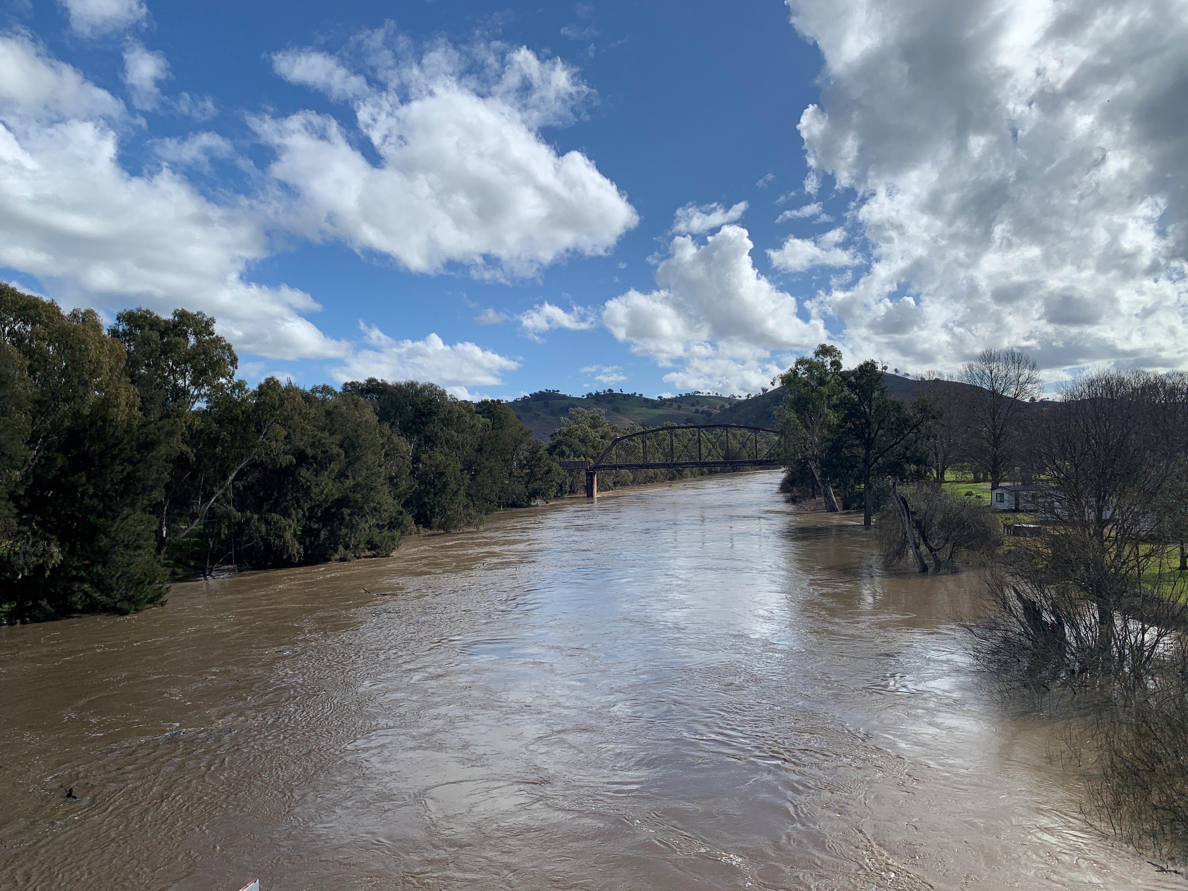 An image of the murrumbidgee river at gundagai