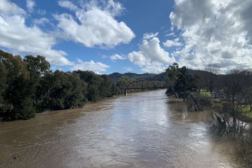 A swollen river beneath a cloudy sky.