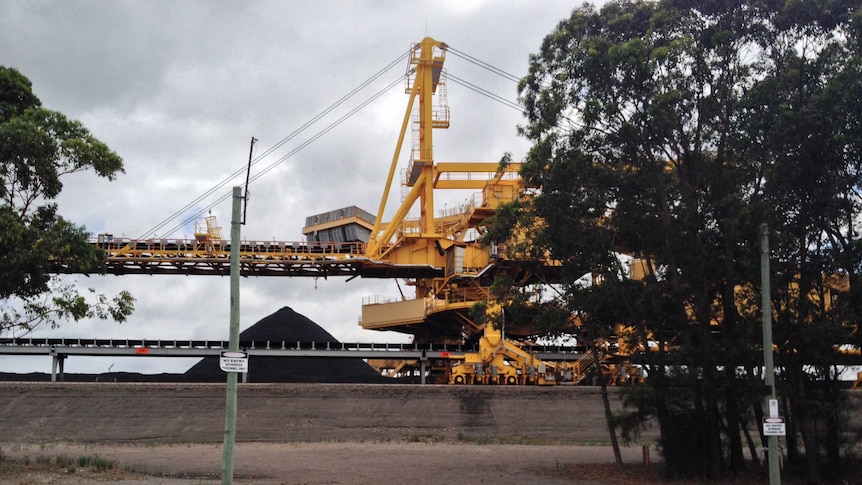 Large machine loading coal