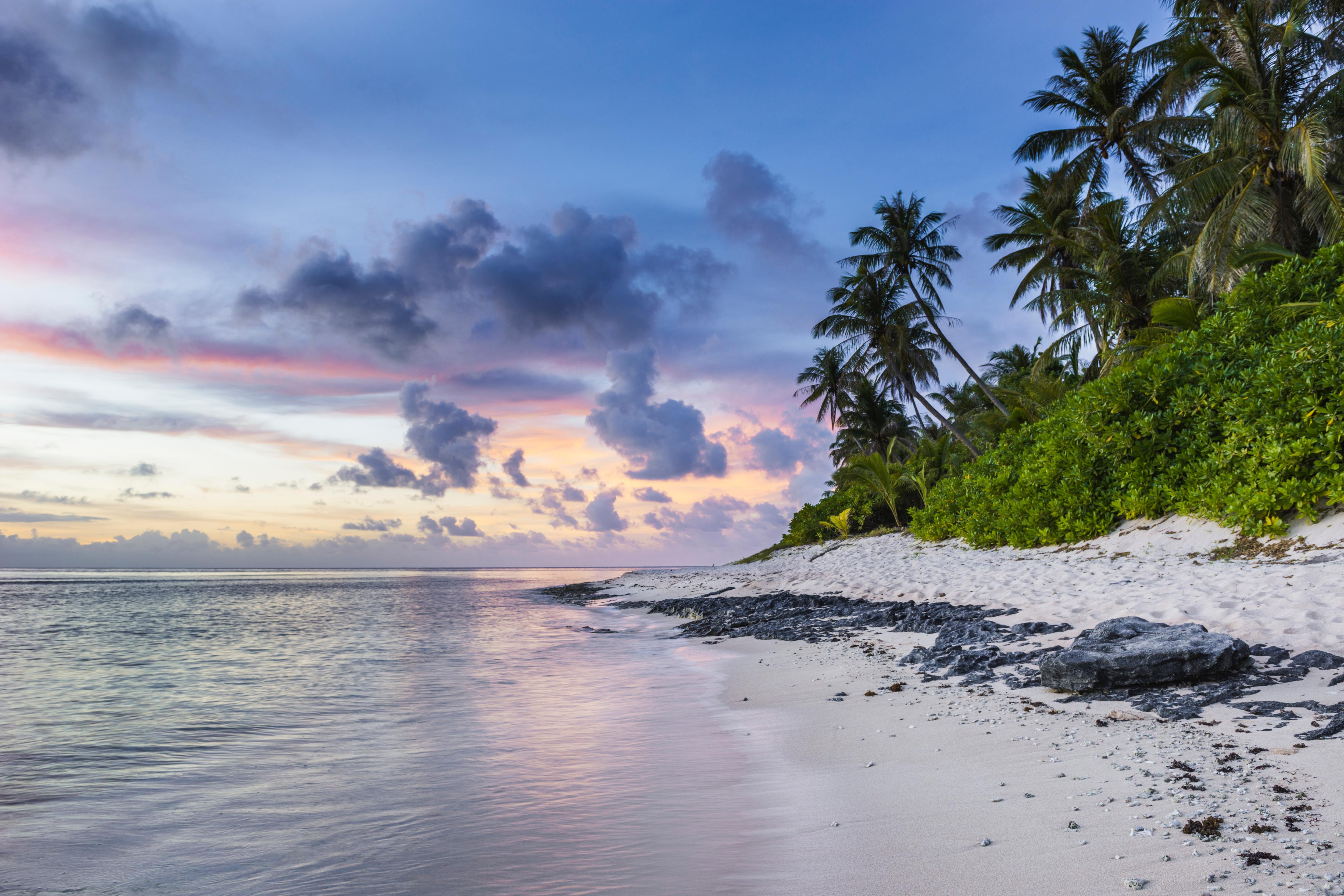 Blue ocean lapping up against white sand and a grassy hill with tall palm trees.