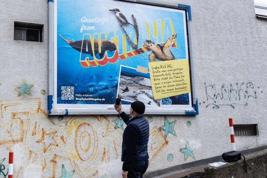 A bright postcard-style billboard on a brick wall features a sea turtle, bird, and dugong alongside a photo of a salt mound.