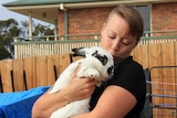 Kristy Alger with a rabbit