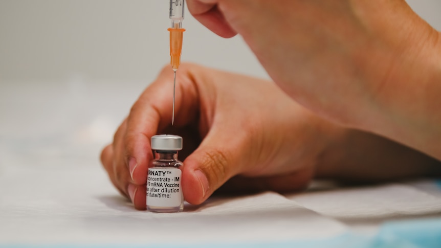 A close shot of a hand pressing a needle through the top of a vial of Pfizer vaccine.