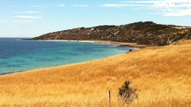 Kangaroo Island farm