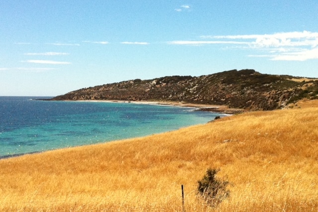 Kangaroo Island farm