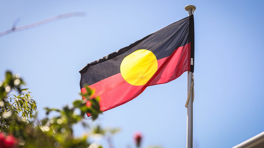 An Aboriginal flag blows in the wind, with bushes and pink flowers in the foreground.