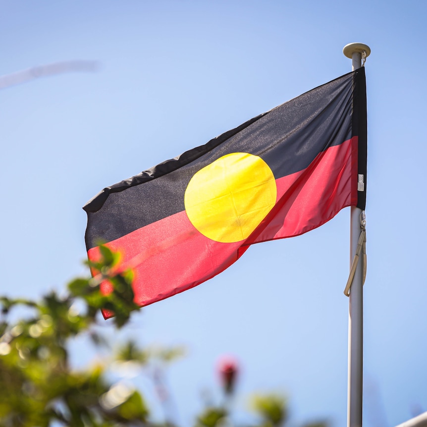 An Aboriginal flag blows in the wind, with bushes and pink flowers in the foreground.