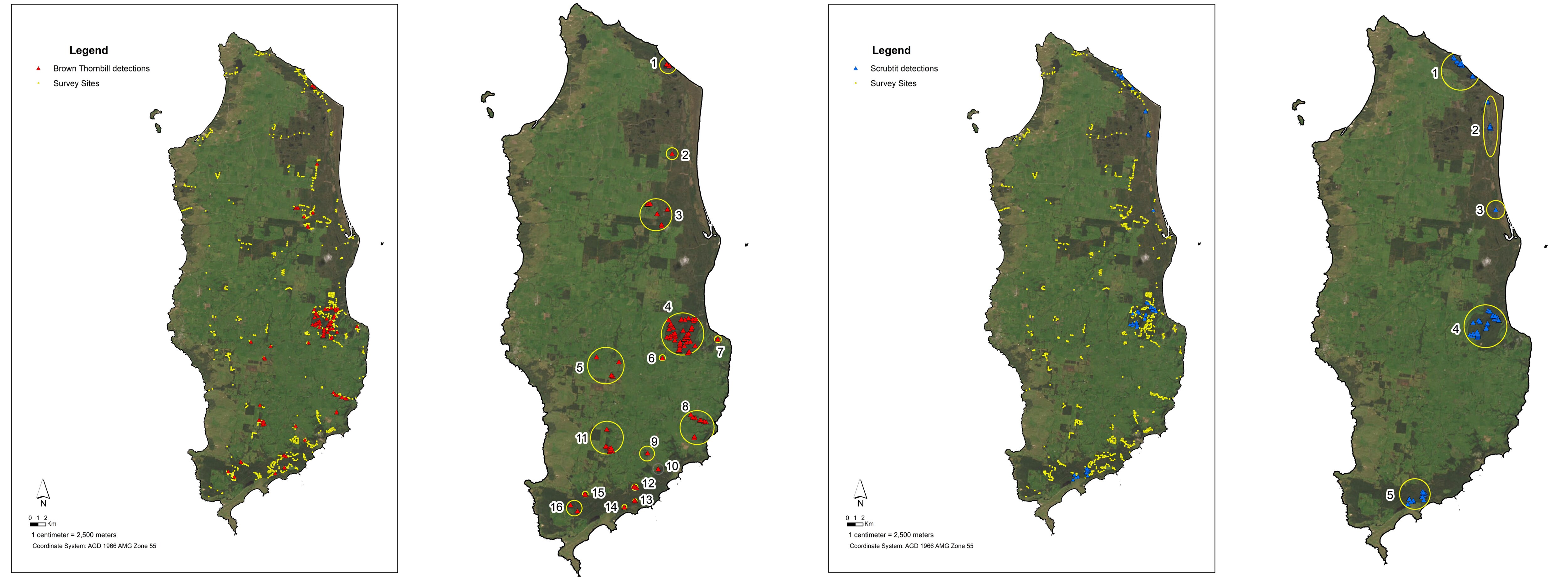 A graphic showing the dispersion of bird sightings versus the survey sites.