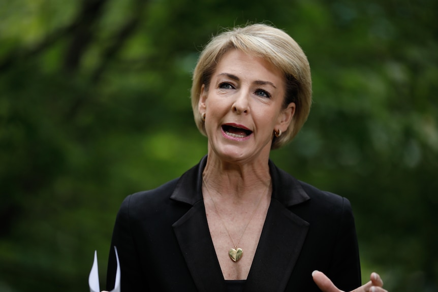 Michaelia Cash in front of a green background