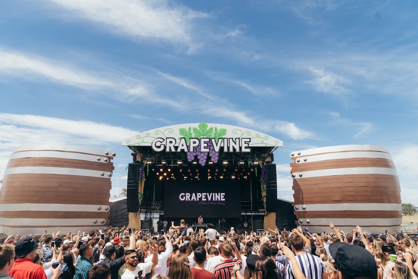 A crowd at a music festival.