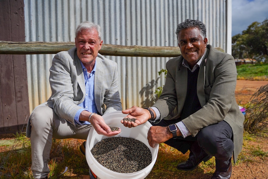 Alan Beattie and Oral McGuire with wattle seed