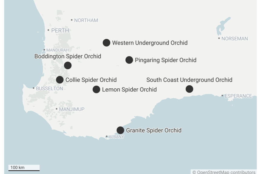 A map showing the locations of seven orchids in an area between Perth, Esperance and Albany.