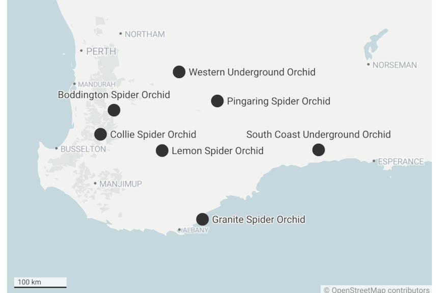 A map showing the locations of seven orchids in an area between Perth, Esperance and Albany.