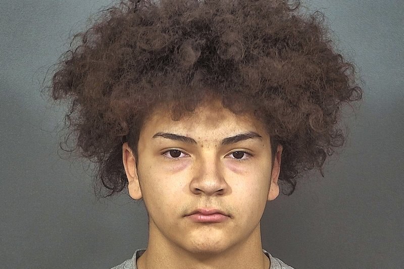 A police mug shot of a boy with brown eyes and curly brown hair